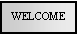 Text Box: WELCOME