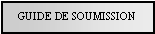 Text Box: GUIDE DE SOUMISSION